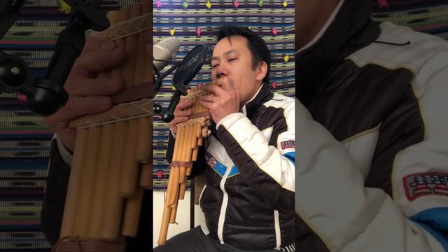 The Winner Takes It All (ABBA) - Zampona (Pan Flute) & Quena Cover
