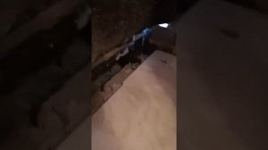 Парилка, как правильно установить  чугунную печ Везувий с закрытой каменкой.