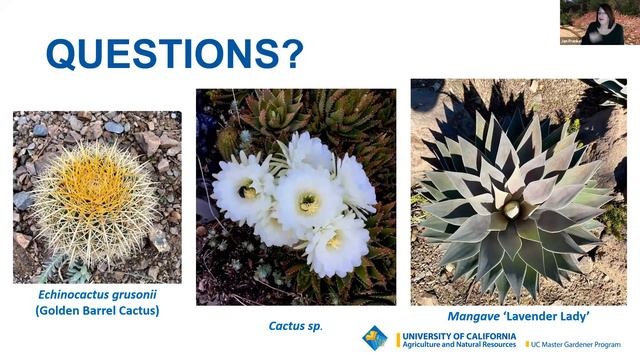 The Joy of Succulents: A UC Master Gardener Webinar смотреть онлайн