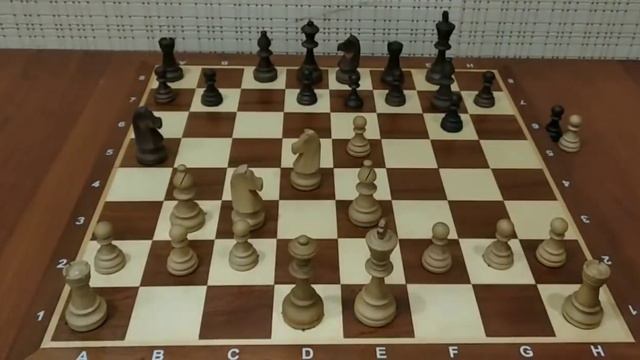 Поставь быстрый МАТ в начале партии! Самая сильная ЛОВУШКА Шахматы ловушки в начале партии! смотреть онлайн