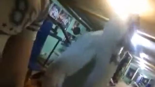 Комар вкурсе такую тему смотреть онлайн