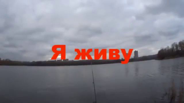 Случай на рыбалке смотреть онлайн