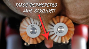 Фермерство: новые технологии с  заботой о КРС и МРС