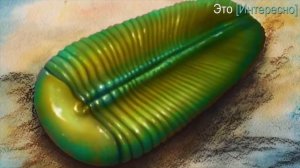 Первые животные. Зарождение жизни в океане. Дикенсония [Это[Интересно]]