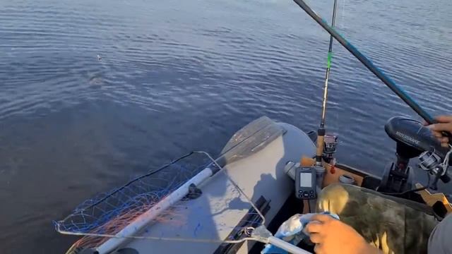 Ловля на удочку поплавочная оснастка смотреть онлайн