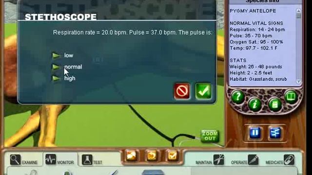 Zoo Vet Walkthrough Part 11: Case 10 смотреть онлайн