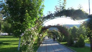 Едем в Абрау-Дюрсо! Центр винного туризма, и просто очень красивое место! Путешествуем:)