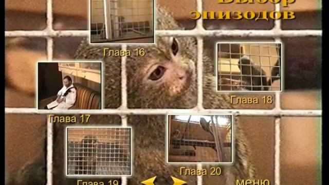 Прародители карликовых и обыкновенных игрунок