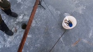 Рыбалка на ЭКРАНЫ-ТЕЛЕВИЗОРЫ по последнему льду. Как ловить экранами подо льдом.