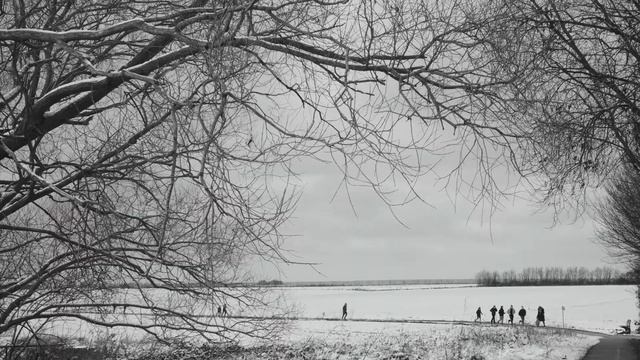 The place I live episode 1 - Olympus Pen F (Monochrome Effect) смотреть онлайн