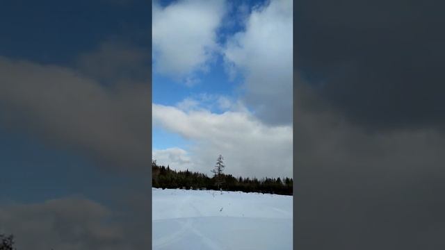 Скидоо тундра 300 смотреть онлайн