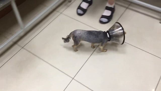 Резекционная артропластика. смотреть онлайн