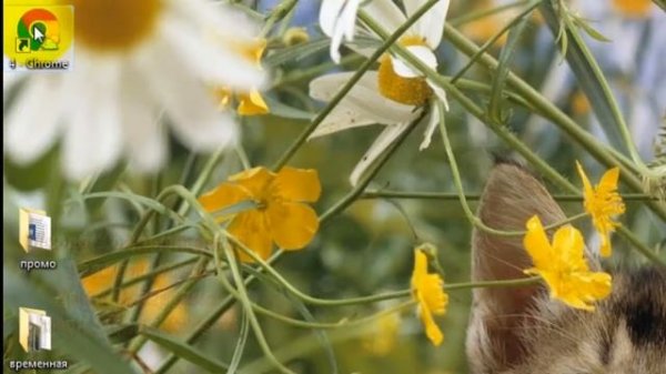 Как добавить пользователя в Гугл