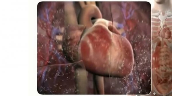 Настрой Сытина.  Читает автор метода Г. Сытин