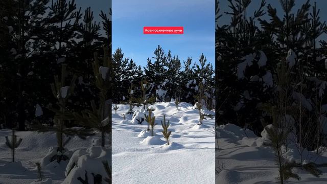 Совет дня! смотреть онлайн