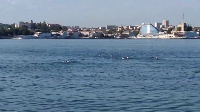 Утренний пляж,Севастополь,Радиогорка,11 августа 2020 смотреть онлайн