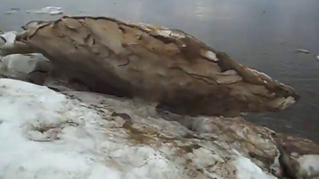 Печора 8 мая (4) смотреть онлайн