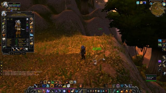 The best hunter pet for hunters in WoW classic, PVP, leveling and PVE смотреть онлайн