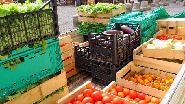 повар судовой. сезон 2. серия 9. месячные и дневные отчëты, работа с catering Oceanic. смотреть онлайн