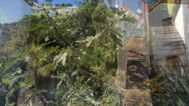 Minerva‘ S Garden - Giardino Della Minerva In Salerno / Italy (Club FRED)