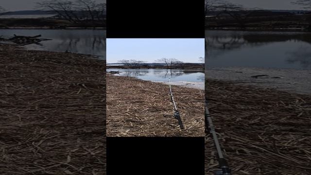 ПОКЛЁВКА / РЫБАЛКА НА ДОНКУ смотреть онлайн