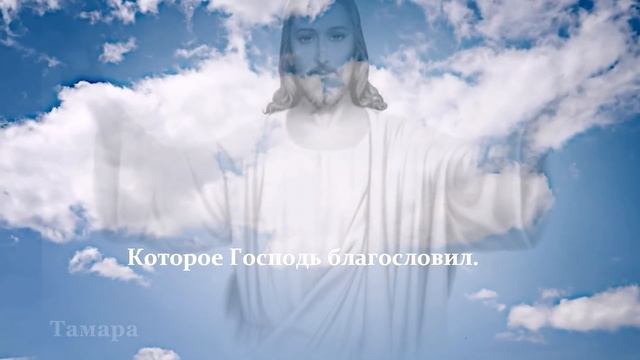 "НА ТО ТЕБЯ ГОСПОДЬ БЛАГОСЛАВИЛ". Ядвига Поплавская и Александр Тиханович смотреть онлайн