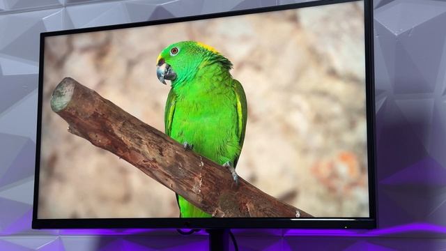 Cooler Master TEMPEST GP27U is the Real Shocker! смотреть онлайн