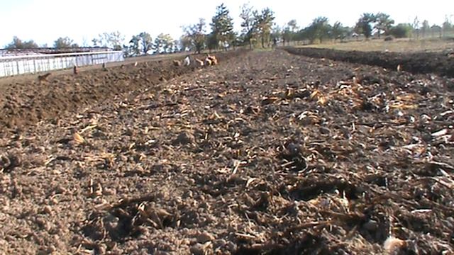 Спашка з Мотоблоком 2018 год смотреть онлайн