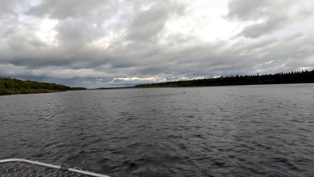 Рыбалка на реке Пинега смотреть онлайн