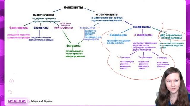 ИММУНИТЕТ | ЕГЭ ПО БИОЛОГИИ смотреть онлайн