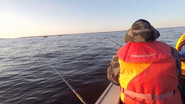 Камбала на удочки и донки с катера. Белое море. Ягры, Северодвинск. 20.05.2023. смотреть онлайн