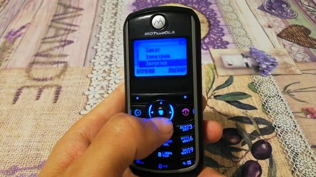 Обзор телефона Motorola C118