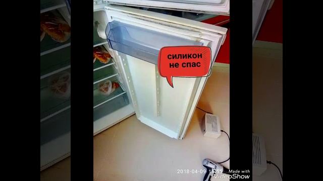 кому шубу? меняем уплотнители на холодильниках