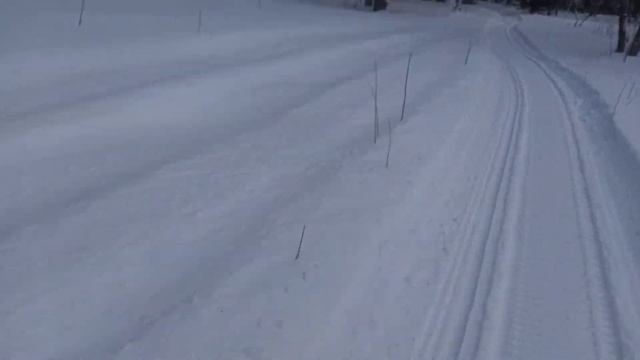 Снегоход ТАЙГА ПАТРУЛЬ SWT. Ровняем путик грейдером. смотреть онлайн