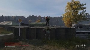 Dayz. Советы новичкам.