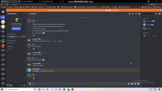 How To Use Carl Bot Auto React! смотреть онлайн