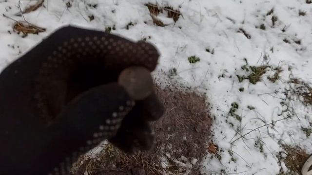 Коп зимой в лесу с металоискателем XP Deus | Находки весьма удивили разнообразием смотреть онлайн