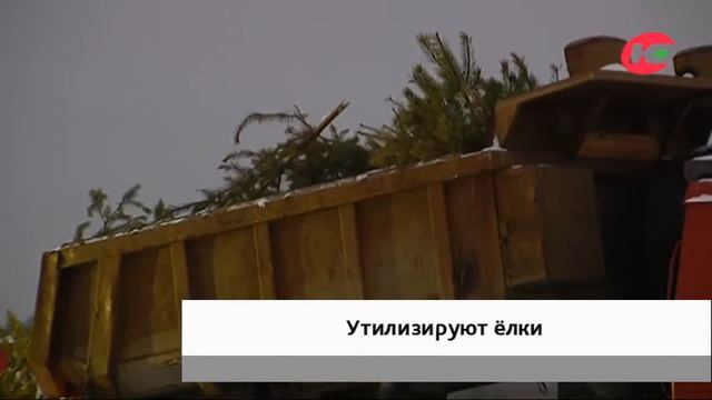 Жители Ханты-Мансийска смогут сдать ёлки на утилизацию смотреть онлайн