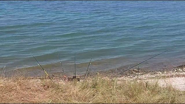 Супер рыбалка 21.06/Яна словила рыбу/Малосольные огурчики/Рецепт маринада/Вкусный десерт/3,200/Аист