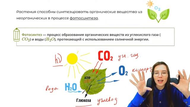 С ЧЕГО НАЧАТЬ ПОДГОТОВКУ? | БИОЛОГИЯ ОГЭ | ЛЕТНЯЯ ШКОЛА | 99 БАЛЛОВ смотреть онлайн