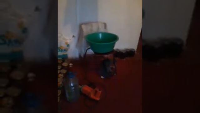 Кот и его жопа смотреть онлайн