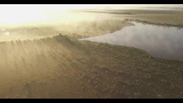 Производство масла льняного смотреть онлайн