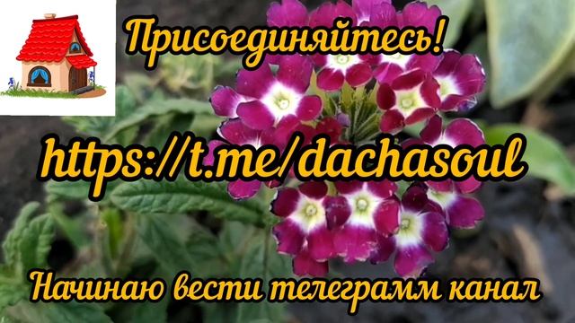 Учебник Ремонта