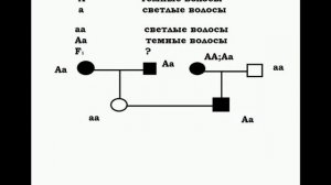 Решение генетических задач