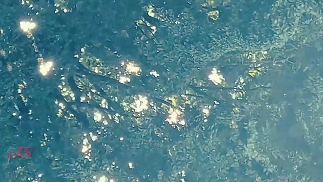 Твоя звезда...сияет другому!