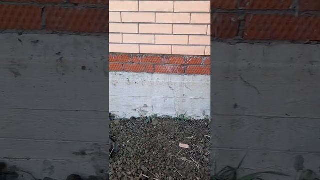 отмостка вокруг дома смотреть онлайн