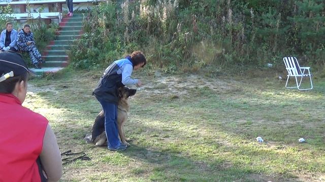 Жужа, сдача ЗКС, выборка вещи смотреть онлайн