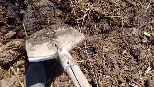посадка картофеля лёгкий способ без вспашки смотреть онлайн