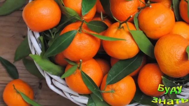 МАНДАРИНЫ НА НОВЫЙ ГОД откуда взялась такая традиция? смотреть онлайн