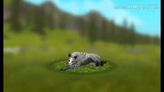 3 моих любымых животных 1# смотреть онлайн